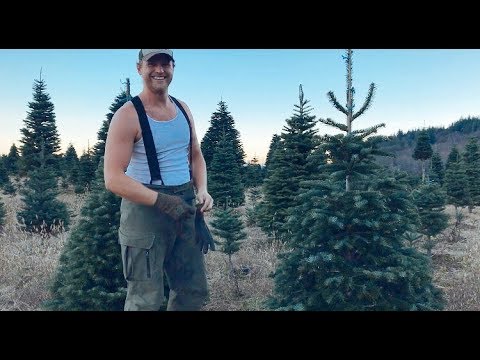 Vlog 95| Đi Chặt Cây Thông Noel. Nông Thôn Nước Mỹ Ra Sao? Người Nông Dân Nước Mỹ Thế Nào?
