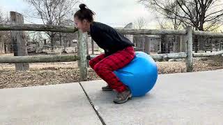 I Want a Hippopotamus for Christmas. (Official Music Video 😉)