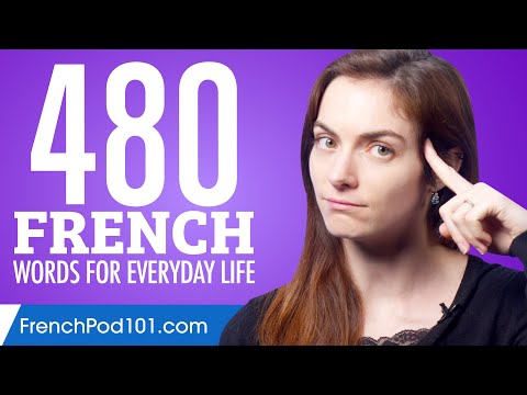 480 French Words for Everyday Life - Basic Vocabulary #24