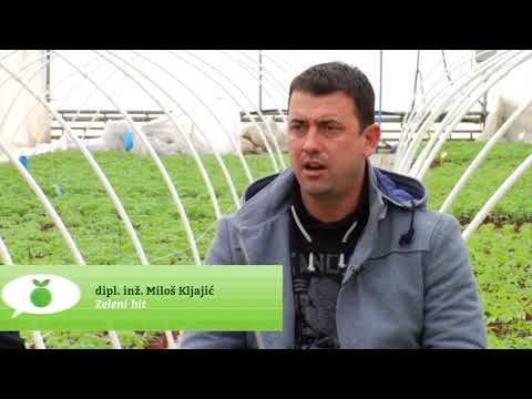 Reč struke ep. 151 06.02.2018. - Proizvodnja rasada povrća