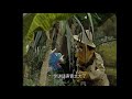 Play With Me Sesame Season 2 Episode 33
