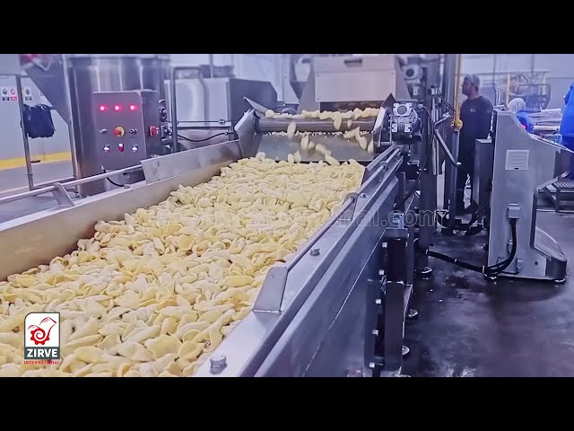 zirve extrusion | Le modèle développé de ligne de friture de copeaux de granulés LP500 dans l'une des plus grandes usines de Turquie