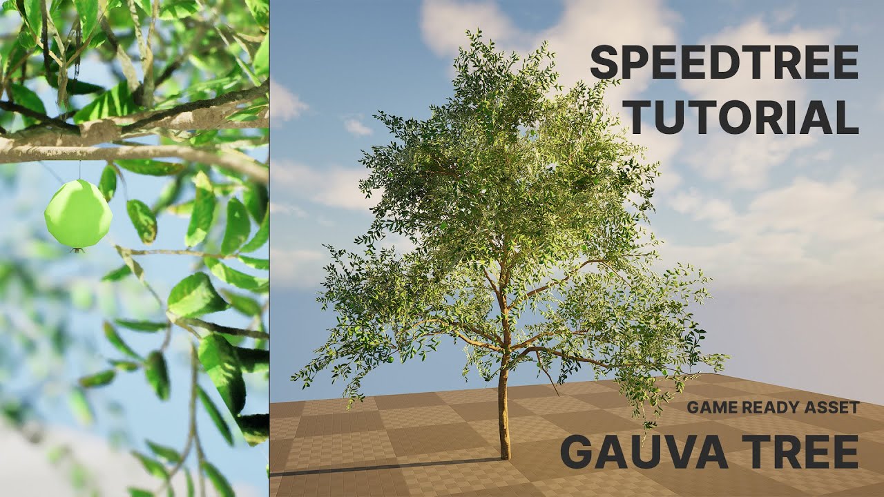 Albero di guava pronto per il gioco con tutorial gratuito Modello 3D