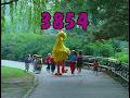 Sesame Street Maria Babysits A Baby Bird