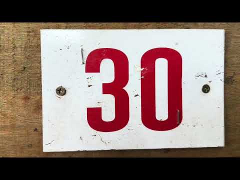 Mostra de animais do 37º Leilão de Gado Geral de São Miguel do Oeste-SC (14/02/2026)