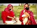 Duck Slaughter By Women