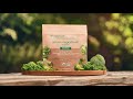 Green Superfood Powder Nutrilite Organics Amway