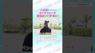 安田記念 GⅠ トレセン直撃取材！ #競馬 #安田記念 #ガイアフォース #杉山晴紀 調教師