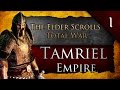 The Elder Scrolls: Total War - Tamriel Empire ...