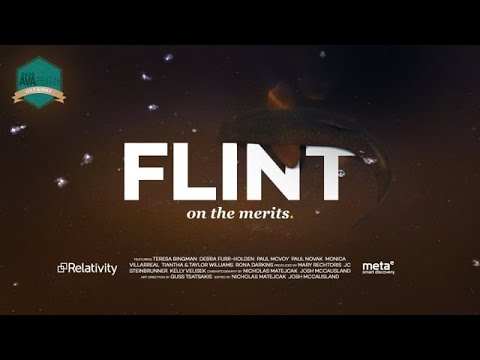 On the Merits | Flint