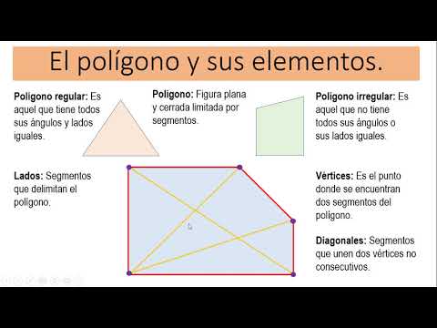 El polígono y sus elementos
