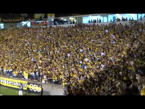 Torcida do Criciúma - Barra Os Tigres