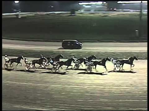 Trotto 31/12/2014 - 4° corsa