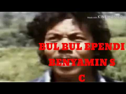 "BUL BUL EPENDI" BENYAMIN S