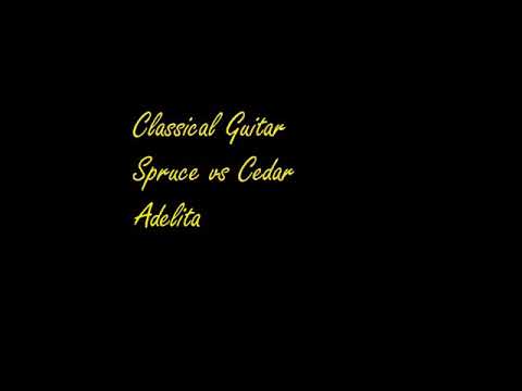 Spruce vs cedar Adelita