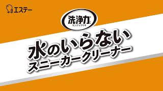 洗浄力 水のいらない スニーカークリーナー