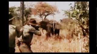 PORTA -animales racionales (videclip oficial HD) LETRA