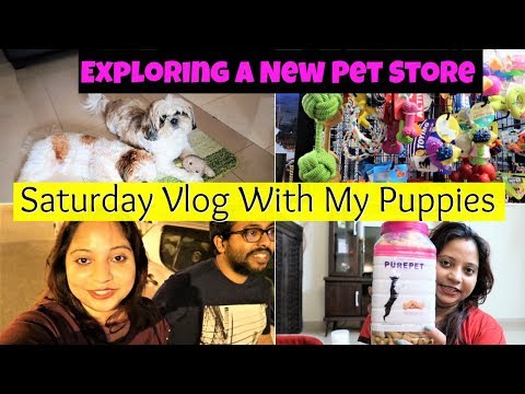 Saturday Vlog With Puppies | Exploring A New Pet Store | Best Saturday Vlog With My Puppies Video