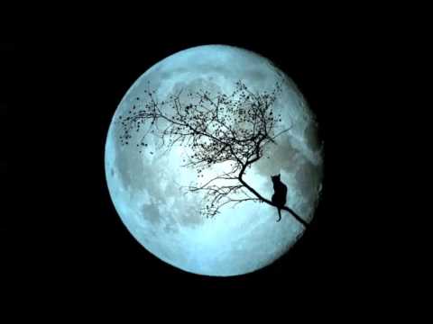 A LA LUZ DE LA LUNA  - CRUZ SANTA