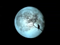A LA LUZ DE LA LUNA  - CRUZ SANTA