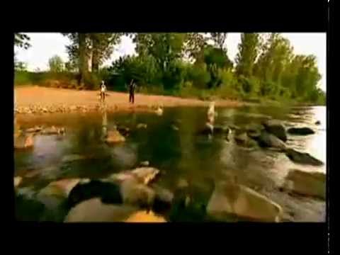 Sandra Bell   Ve snu budem lítat