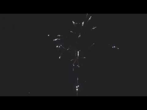 SCB2113 - 49s 30mm Silver Strobe Willows