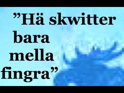 Norrlänning försöker göra köttbullar [Västerbotten]  [Norrländska]