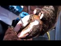 WOPA Claw Treatment Crush SA0051BHL