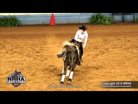 CS Stars in Her Eyes NRHA Futurity 2015