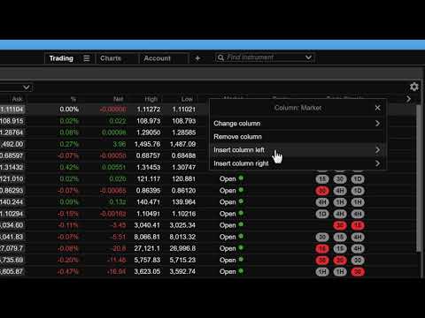 Customizing Grid Modules in ELANA Global Trader