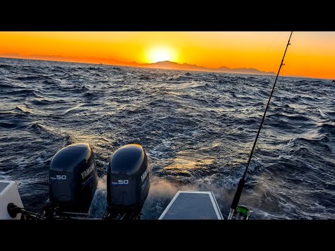 Gelbschwanz-Wahnsinn auf dem 17-Fuß-Boot