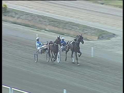 Trotto 14/04/2017 - prova di qualifica