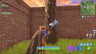 [Fortnite]　しゅうさばの下手くそフォートナイト実況！【無言テスト配信】