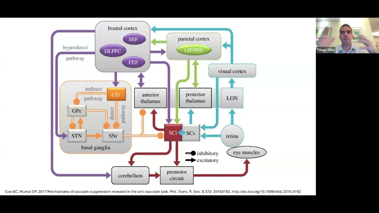 Webinar Avaliação Vestibular com o EyeSeeCam vHit - Parte 2