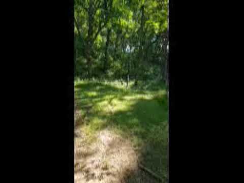 The campsite next to the bloodroot trail.