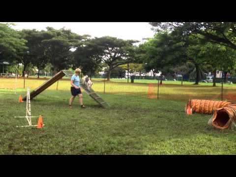 Specially for you , Raisa