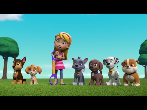 I'm Pup Sitting For Ryder - Paw Patrol