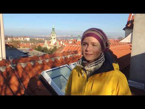 Návštěvníci: Česká rodina v globalizované Arktidě