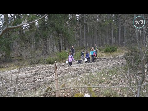 I Polanicki Rajd na Orientację