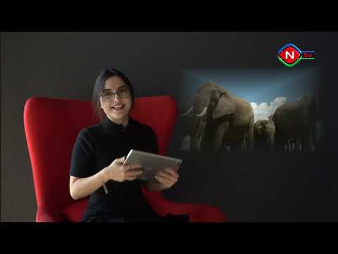 Birlikdə öyrənək - 14.11.2021