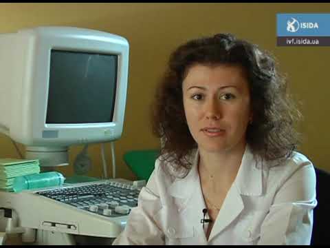 comment augmenter quantite spermatozoides