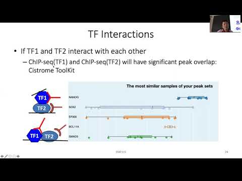 STAT115 Chapter 11.3 TF Interactions from ChIP-seq