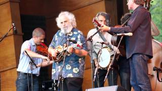 David Grisman | Rockygrass | gratefulweb.com