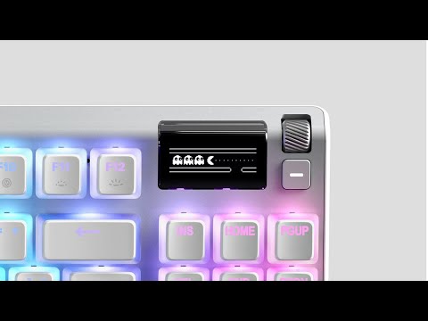 Apex Pro Ghost Edition - Lubing Switches Housing