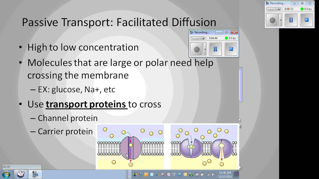 Transport PowerPoint