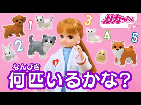 【犬】【猫】🐩🐈リカちゃんは動物病院の先生🏥✨ペットたちをちゃんと数えられるかな❓
