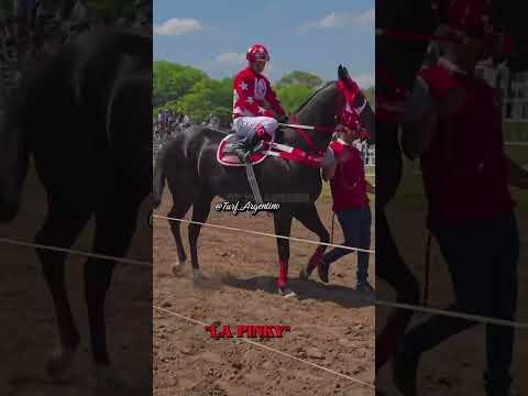 🏅”LA PINKY”🏅La Pupila Perteneciente al Stud el Horizonte monte quemado - Santiago del Estero.💢