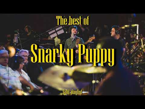 Snarky  Puppy - Gold playlist