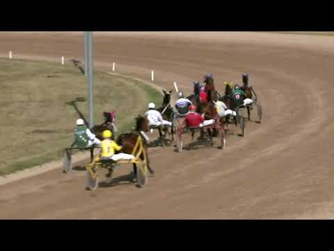 2021.10.02. 01. futam - NYERETLEN KÉTÉVESEK VERSENYE