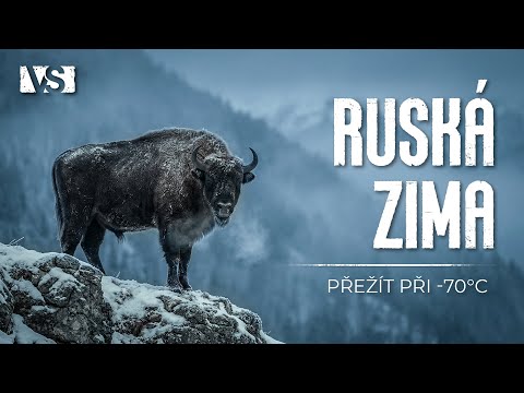 EXTRÉMNÍ ZIMA V RUSKU | Přežití při −70 °C v nejdrsnějším chladu planety – Dokument